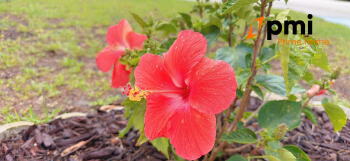 View Full Image