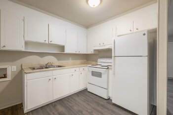 101a Looneybrook Drive , Fountain Inn,  29644