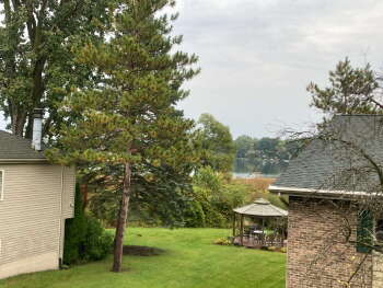 5856 Shaw Street #4, Haslett,  48840
