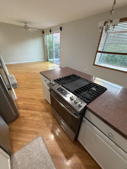 1777 West Altgeld Street Unit F, Chicago,  60614