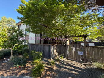 310 1st St Apt 9, San Rafael,  94901-3745