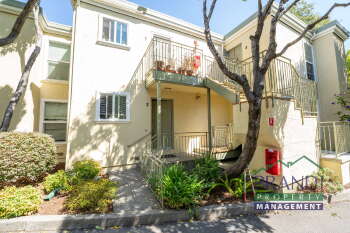 24 Ross Ave Apt 2, San Anselmo,  94960-2840