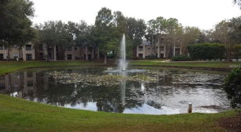 2210 Yankee Pl #316, Orlando,  32839