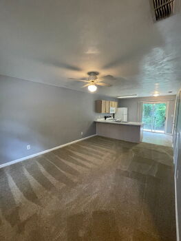 111 Valencia Drive - 111-D , Tallahassee,  32304