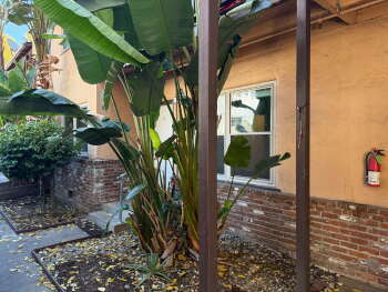 1715 H St Apt 3 , Sacramento,  95811