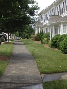 305 Sugar Maple Ave , Wake Forest,  27587-2297
