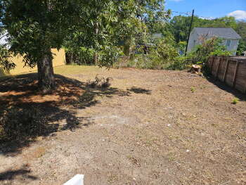 View Full Image