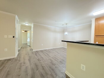 View Full Image