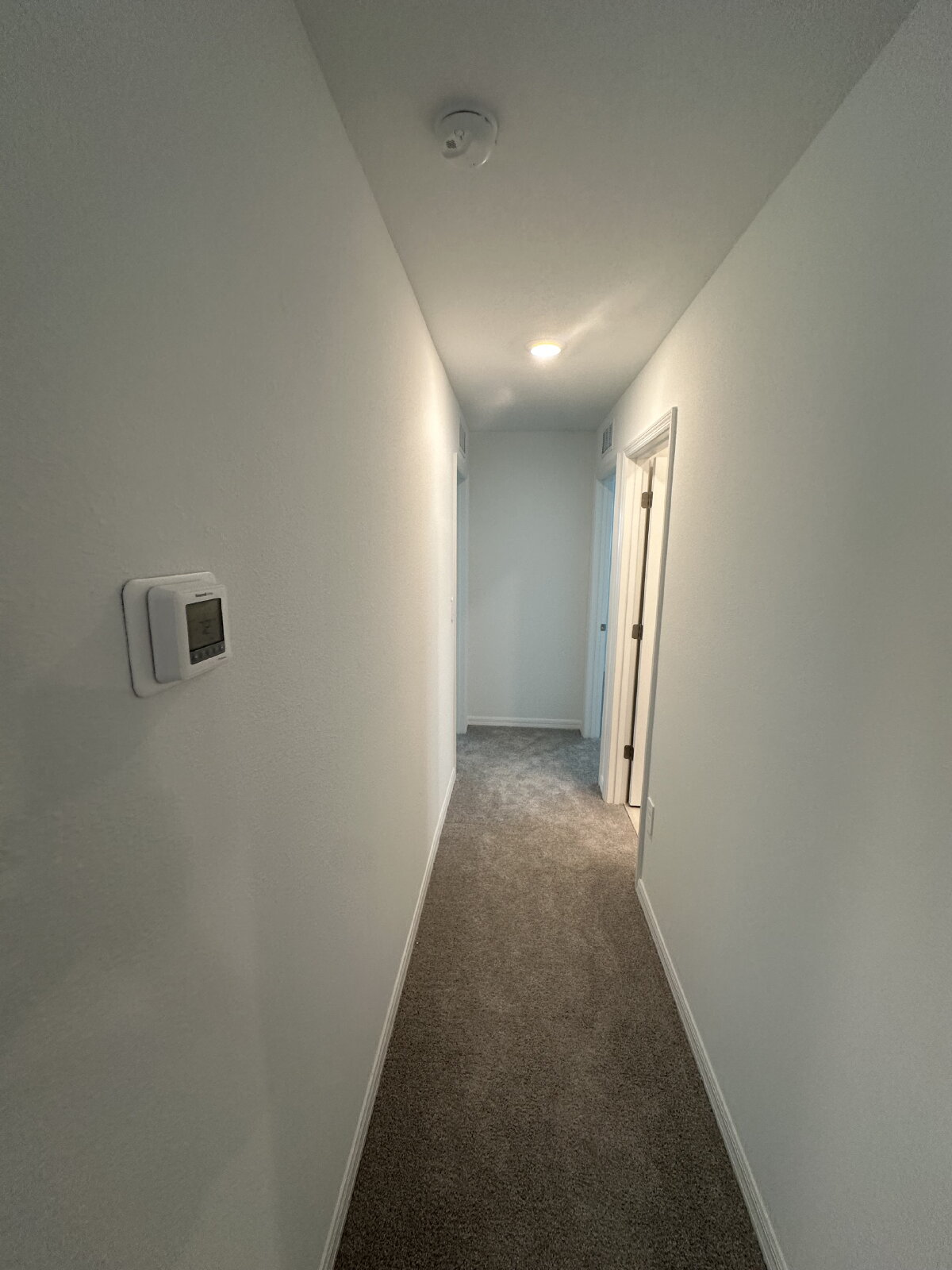 Gallery Image 23