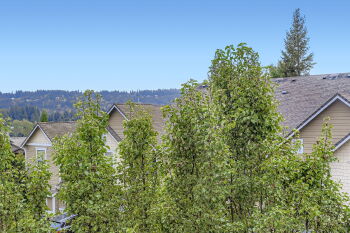 View Full Image