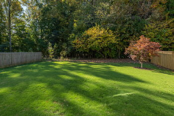 View Full Image