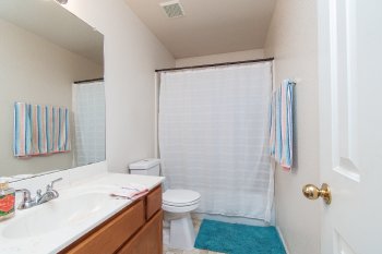 View Full Image