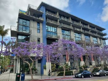 1780 KETTNER BLVD #505 , SAN DIEGO,  92101