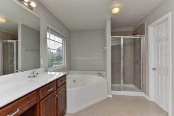 View Full Image